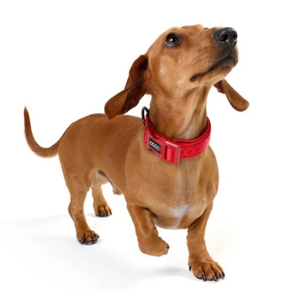 DOOG - Neosport Neoprene Dog Collar Red - Gr. L DOOG - Neosport Neoprene Dog Collar Red - Gr. L